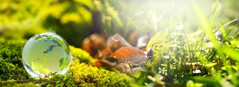 stock.adobe.com / JOE_LORENZ_DESIGN