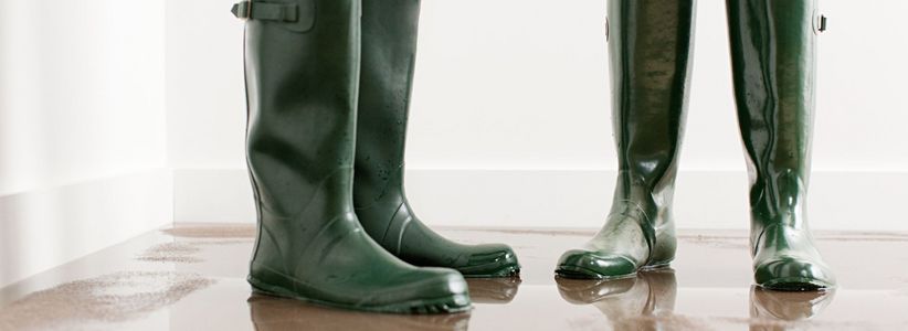 © Image Source / iStock.com