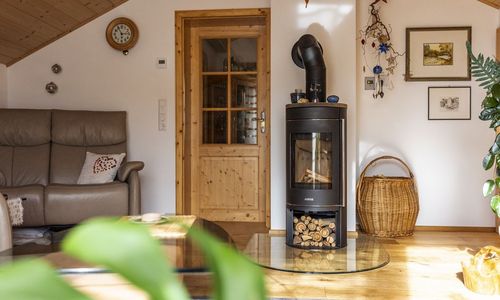 Das Foto zeigt einen Holzofen