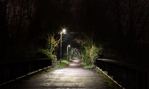 Straßenlaternen im Dunklem im Wald