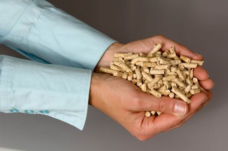 Pellets in einer Hand