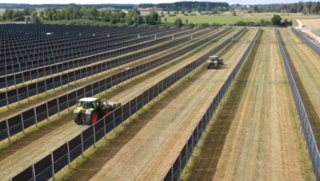 Solarmodule auf einem Acker