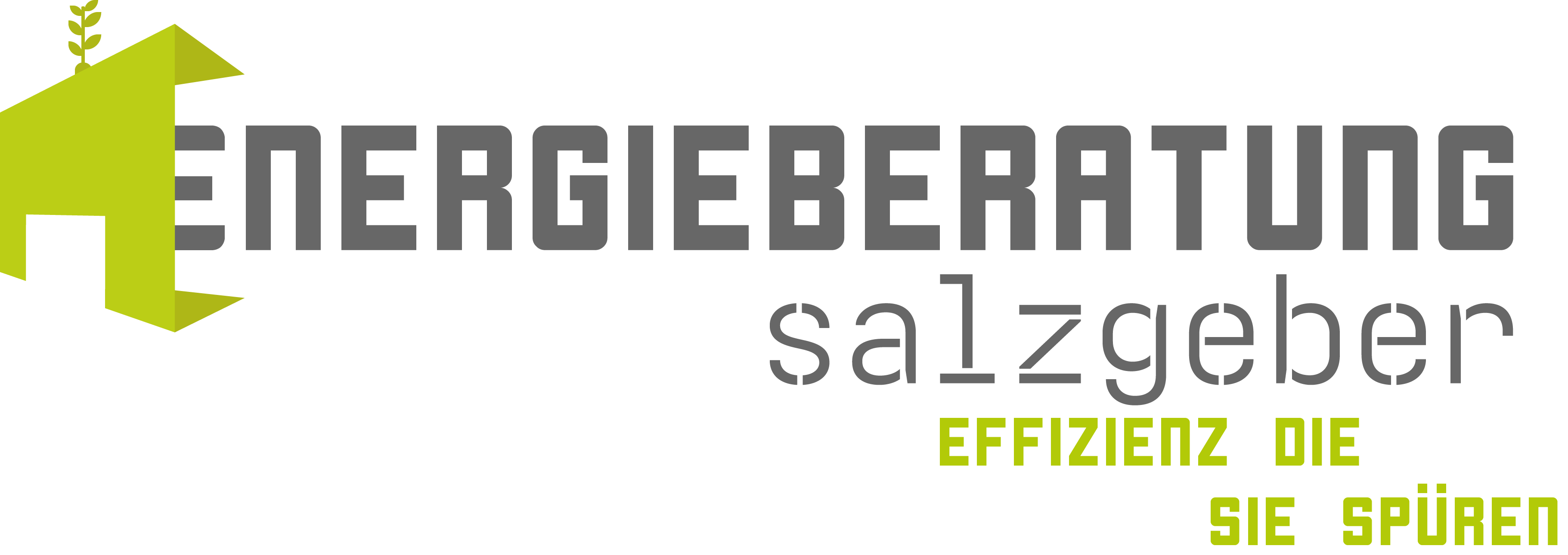 Energieberatung Salzgeber